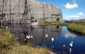 Preikestolen